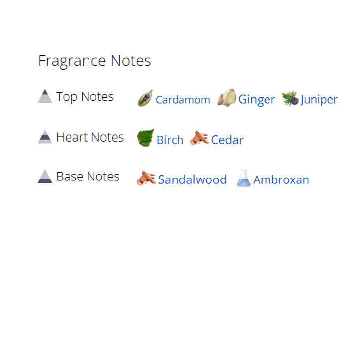 عطر ادکلن مردانه جیونچی جنتلمن آنلی کژوال شیک عطر ادکلن مردانه جیونچی جنتلمن آنلی کژوال شیک