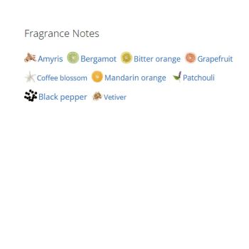 عطر ادکلن مردانه جیونچی پلی مردانه