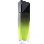 عطر ادکلن مردانه جیونچی وری ایرسیستیبل مردانه