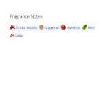 عطر ادکلن مردانه جیونچی وری ایرسیستیبل مردانه