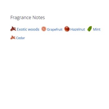 عطر ادکلن مردانه جیونچی وری ایرسیستیبل مردانه