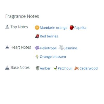 عطر ادکلن زنانه جیونچی ابسلوتلی ایریسیستیبل