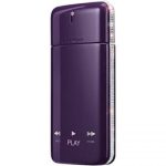 عطر ادکلن زنانه جیونچی پلی اینتنس زنانه