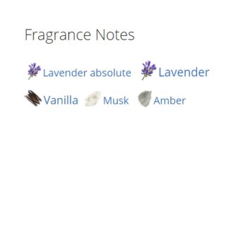 عطر ادکلن مردانه پورانوم