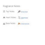 عطر ادکلن زنانه  سی کی بیوتی