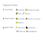 عطر ادکلن مردانه  پاشا کارتیه