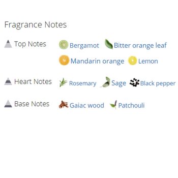 عطر ادکلن مردانه کارتیر رودستر اسپرت