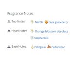 عطر ادکلن زنانه کلوهه لاو استوری