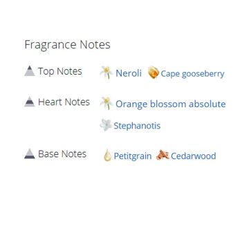 عطر ادکلن زنانه کلوهه لاو استوری