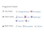 عطر ادکلن زنانه کلوهه لاو