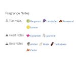 عطر ادکلن زنانه هون