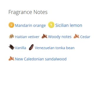 عطر ادکلن مردانه بلوشانل