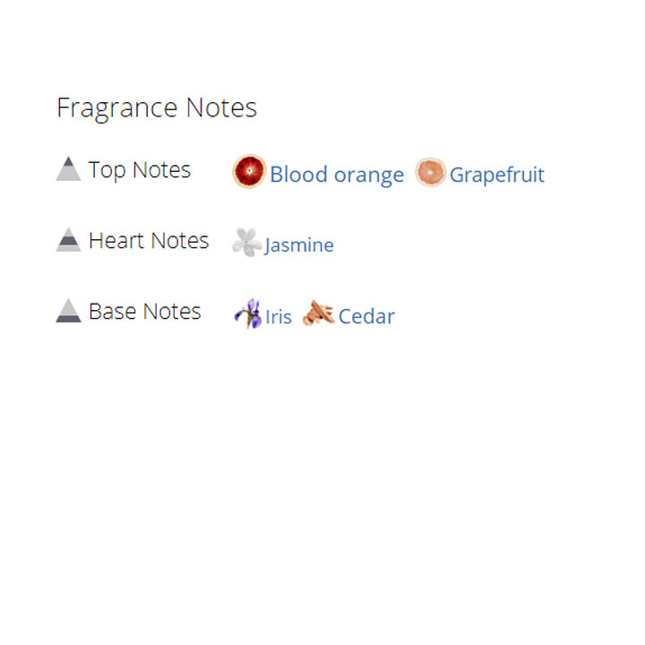 عطر ادکلن زنانه شنل چنس او ویو عطر ادکلن زنانه شنل چنس او ویو