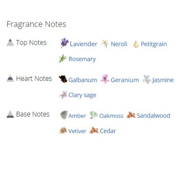 عطر ادکلن مردانه اگویست پلاتینیوم