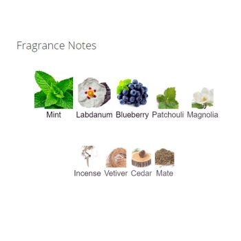 عطر ادکلن زنانه فلاور پاور