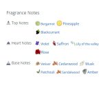 عطر ادکلن مردانه و زنانه ممویر