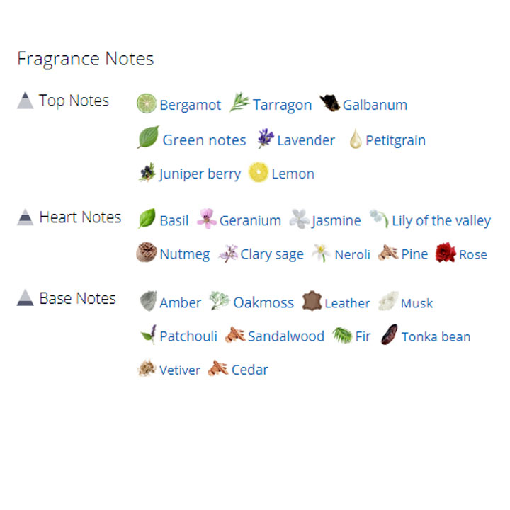 عطر ادکلن مردانه لووه اسنسیا مردانه عطر ادکلن مردانه لووه اسنسیا مردانه