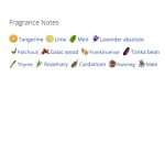 عطر ادکلن مردانه لووه سولو لووه اسنشال