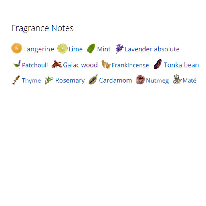 عطر ادکلن مردانه لووه سولو لووه اسنشال عطر ادکلن مردانه لووه سولو لووه اسنشال