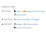 عطر ادکلن مردانه و زنانه لووه پولاز ایبیزا