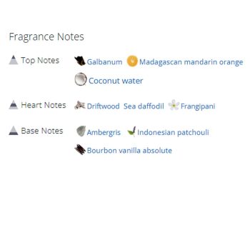 عطر ادکلن مردانه و زنانه لووه پولاز ایبیزا