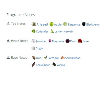 عطر ادکلن زنانه لاپق سیلور رین