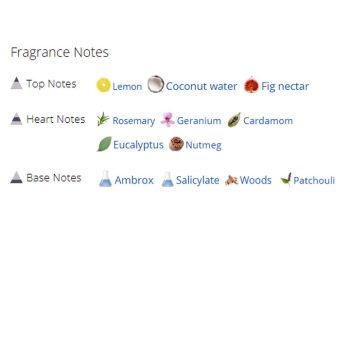 عطر ادکلن مردانه ایسی میاکه فیوژن د ایسی