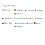 عطر ادکلن مردانه لاگوست ال.12.12 بلنچ