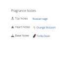 عطر ادکلن مردانه سیلور سنت میدنایت