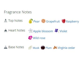 عطر ادکلن زنانه مارک جاکوبز دیسی سو فرش