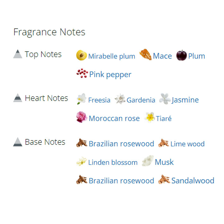 عطر ادکلن زنانه مکس مارا له پرفیوم عطر ادکلن زنانه مکس مارا له پرفیوم