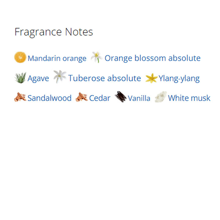 عطر ادکلن مردانه و زنانه ممو مارفا عطر ادکلن مردانه و زنانه ممو مارفا