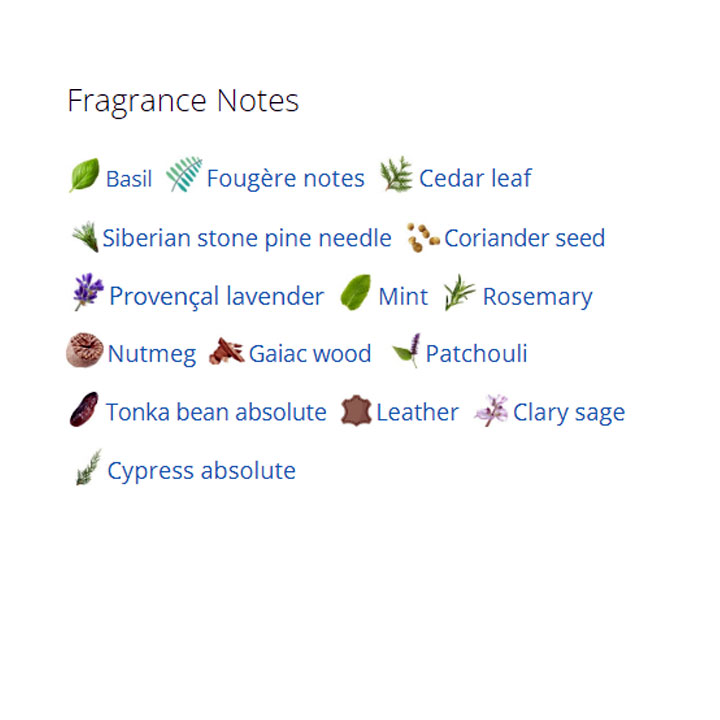 عطر ادکلن مردانه و زنانه ممو پاریس راشین لدر عطر ادکلن مردانه و زنانه ممو پاریس راشین لدر