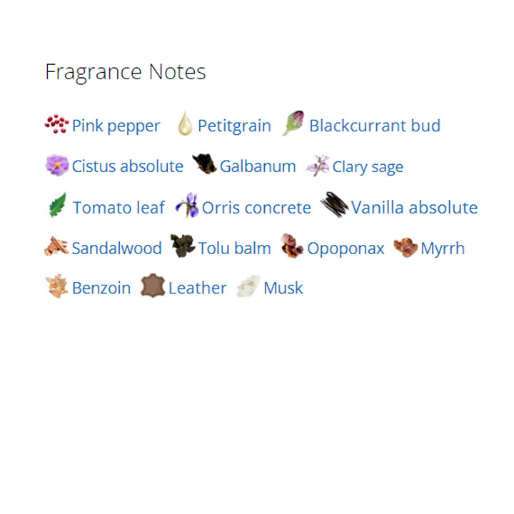 عطر ادکلن مردانه و زنانه ممو پاریس ایتالین لدر عطر ادکلن مردانه و زنانه ممو پاریس ایتالین لدر