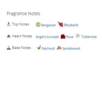 عطر ادکلن زنانه نینا ریچی ریچی