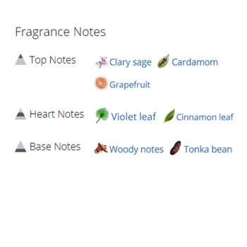 عطر ادکلن مردانه مونت بلان امبلم