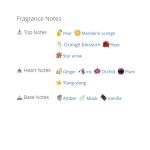 عطر ادکلن زنانه ژان پل گوتیر کلاسیک