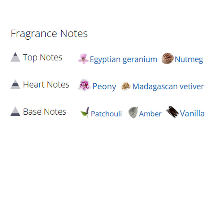 عطر ادکلن مردانه و زنانه مورسک آریستوکراتی عطر ادکلن مردانه و زنانه مورسک آریستوکراتی