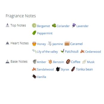 عطر ادکلن مردانه تیری موگلر ای من