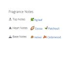 عطر ادکلن مردانه کوکوریکو