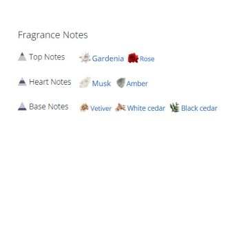 عطر ادکلن زنانه نارسیسو