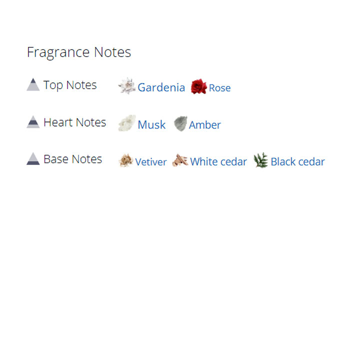 عطر ادکلن زنانه نارسیسو عطر ادکلن زنانه نارسیسو