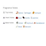 عطر ادکلن زنانه بوس اینتنس