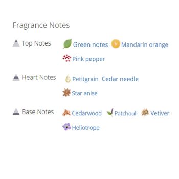 عطر ادکلن مردانه بوس سلکشن