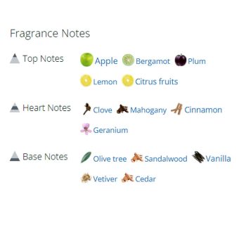 عطر ادکلن مردانه بوس باتلد