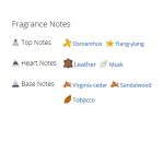 عطر ادکلن زنانه گرلن کوق اینتنس