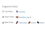 عطر ادکلن مردانه و زنانه جو مالون میرح اند تونکا