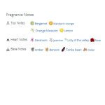 عطر ادکلن مردانه اسکالپچر هوم