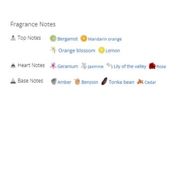 عطر ادکلن مردانه اسکالپچر هوم