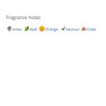 عطر ادکلن مردانه و زنانه هرمس کانسنتر د اورنج ورت